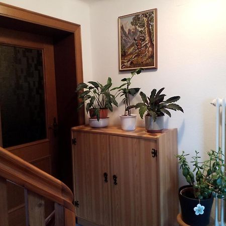 Haus Hubertusheim Apartment Schladming Exterior photo